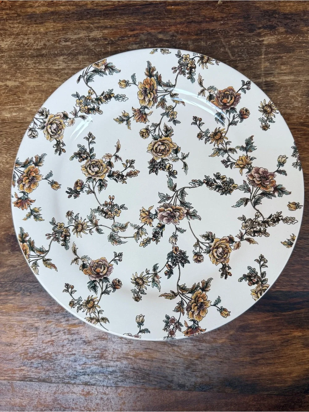 Sur La Table Cream Dinner Plates with Brown Floral Vine Pattern - Set of 3